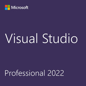 Microsoft Visual Studio 2022 Professional (School License) for Windows