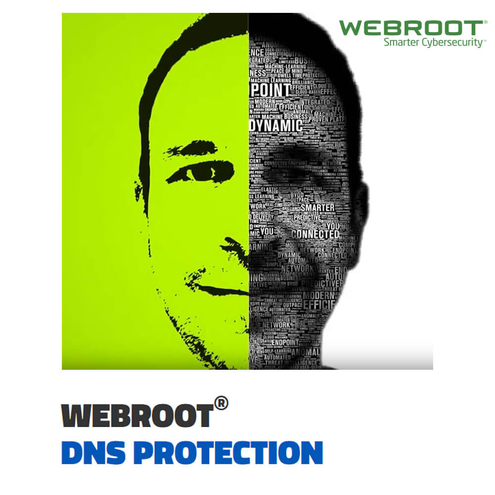 Webroot DNS Protection for Business 2-Year Subscription