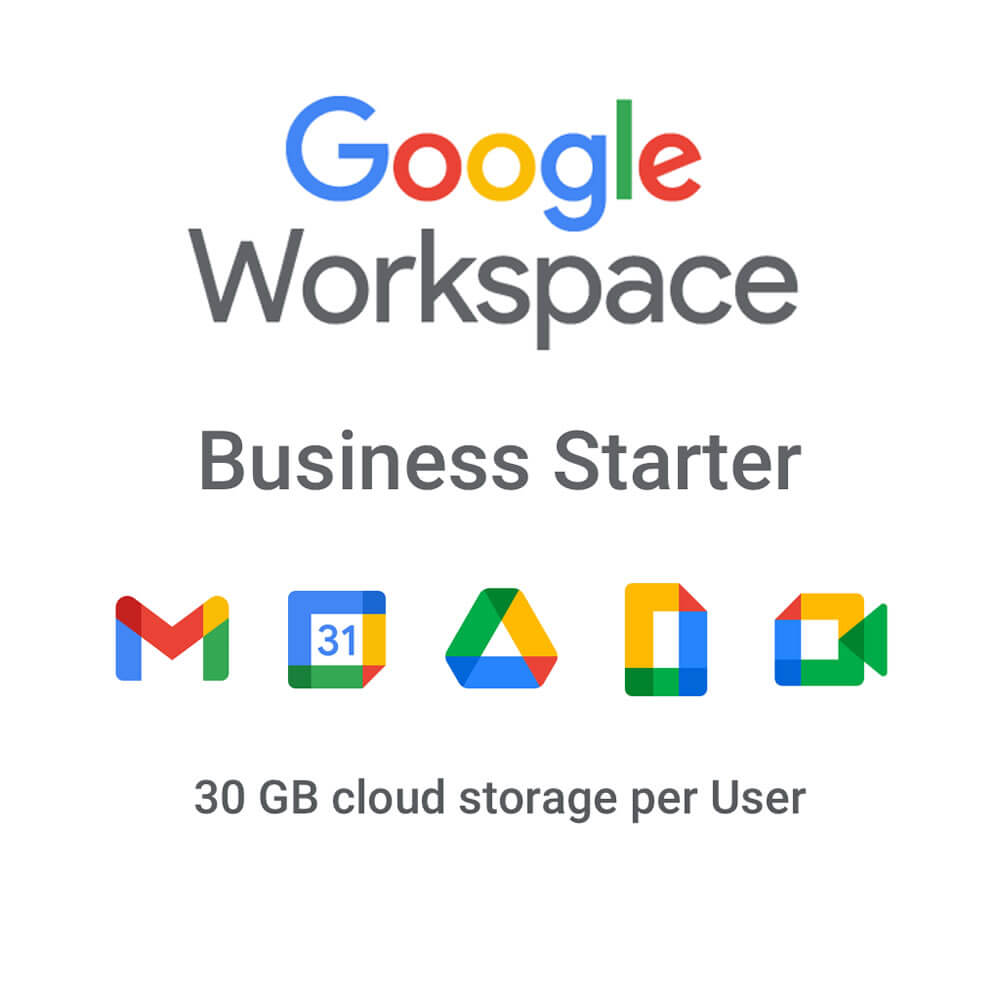 Google Workspace Business Starter Annual Subscription License
